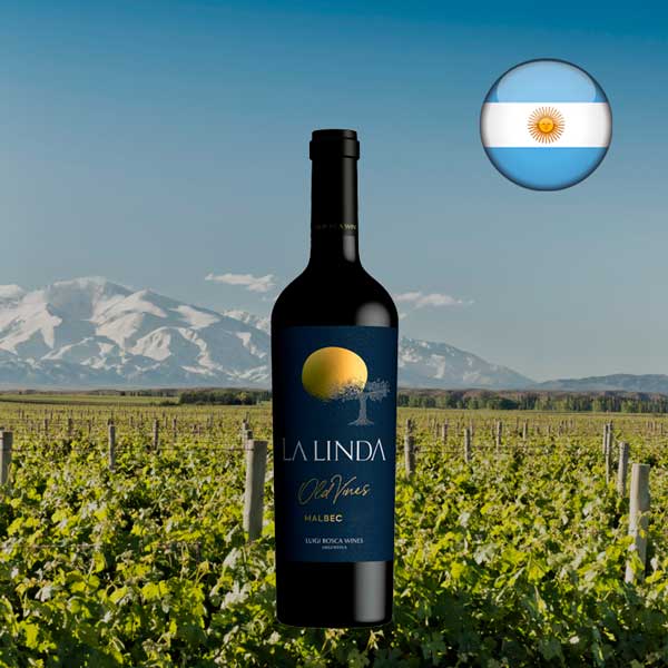 La Linda Malbec Old Vines Luigi Bosca 2021 - Oferta