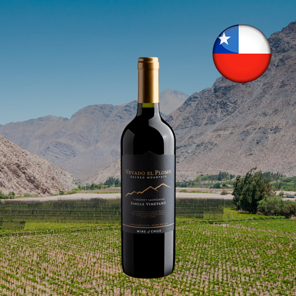 Nevado El Plomo Sacred Mountain Single Vineyard Cabernet Sauvignon - Oferta