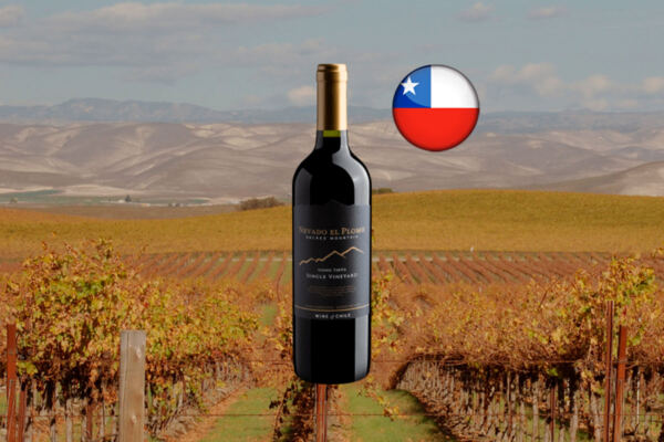 Nevado El Plomo Sacred Mountain Single Vineyard Tinto - Thumbnail