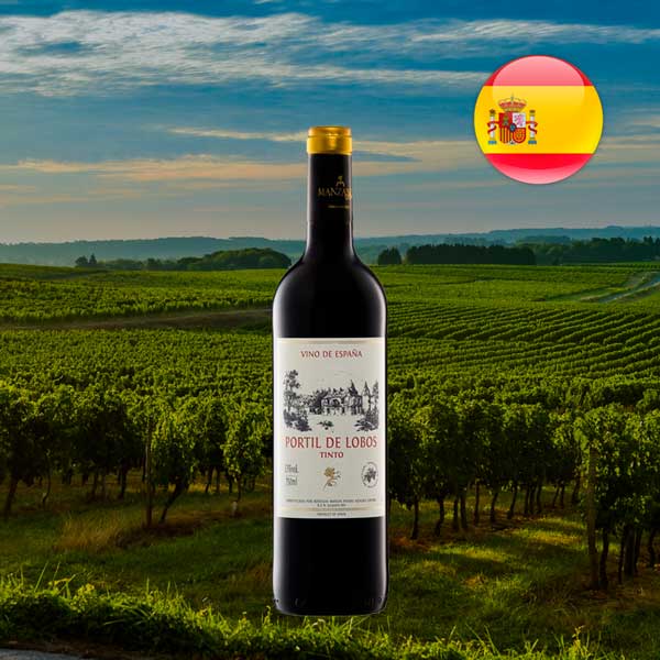 Portil de Lobos Tinto 2020 - Oferta