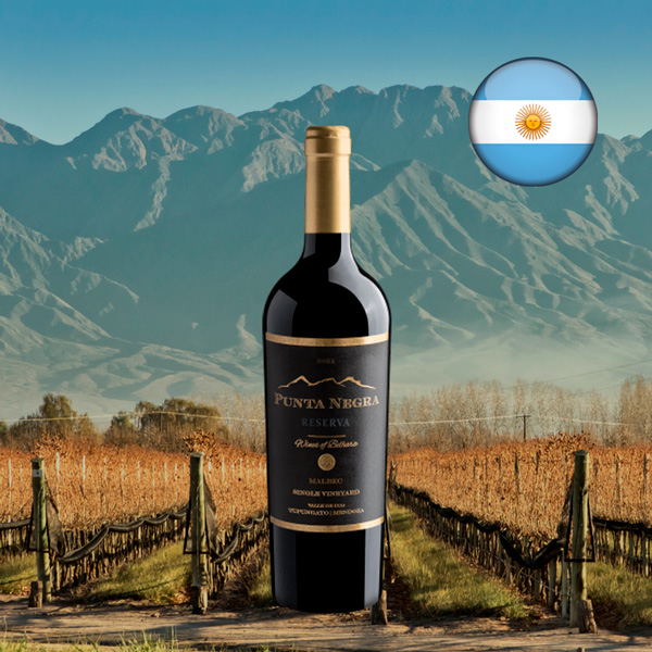 Punta Negra Reserva Malbec Single Vineyard 2021 - Oferta