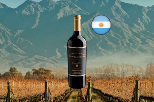 Punta Negra Reserva Malbec Single Vineyard 2021 - Thumbnail