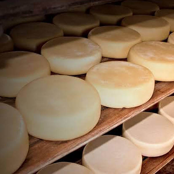 Queijo Minas Meia Cura Maturação 20 dias 1kg 2