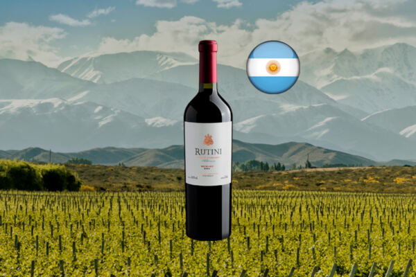 Rutini Single Vineyard Altamira Merlot 2014 - Thumbnail