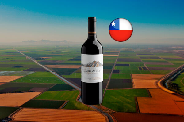 Santa Alicia Cabernet Sauvignon Valle Central 2023 - Thumbnail