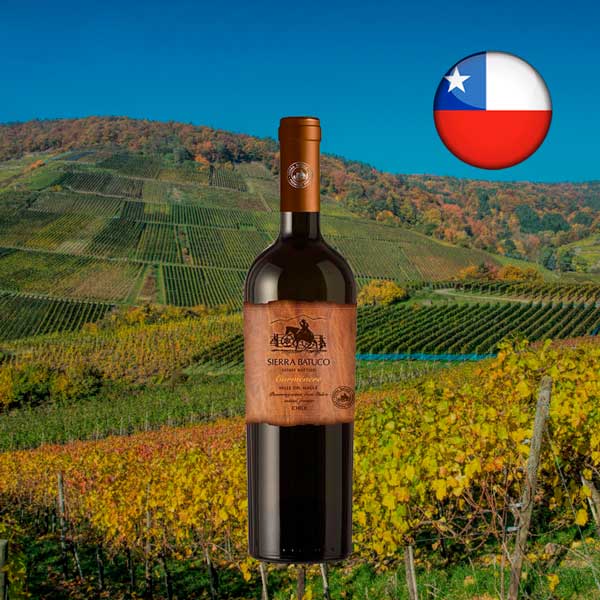 Sierra Batuco Carménère 2021 - Oferta