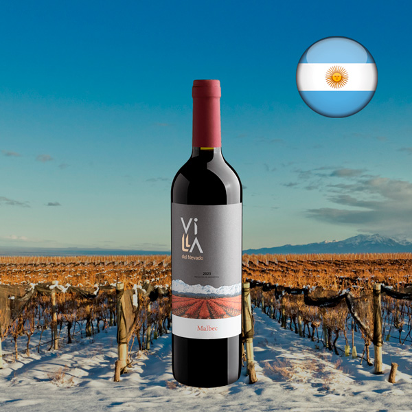 Villa del Nevado Malbec 2023 - Oferta