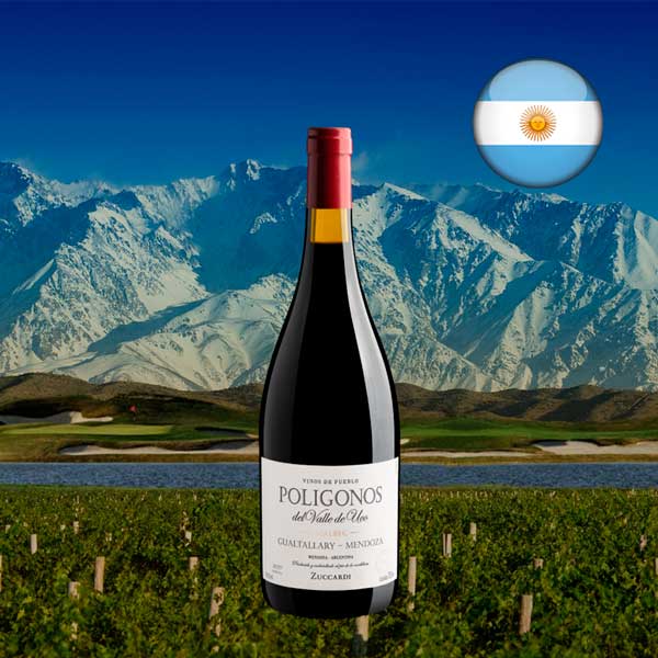 Zuccardi Poligonos Malbec Gualtallary 2020 - Oferta