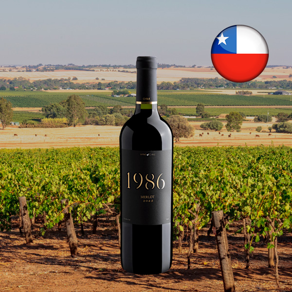 1986 Merlot 2022 - Oferta