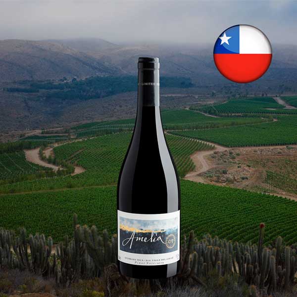 Amelia Pinot Noir Valle del Limarí DO 2019 - Oferta