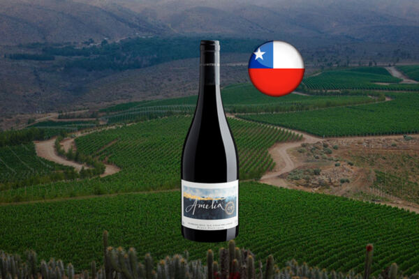 Amelia Pinot Noir Valle del Limarí DO 2019 - Thumbnail