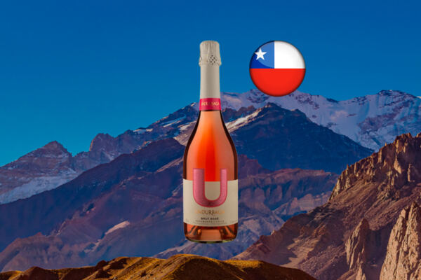 U By Undurraga DO Región de Aconcagua Rose Brut - Thumbnail