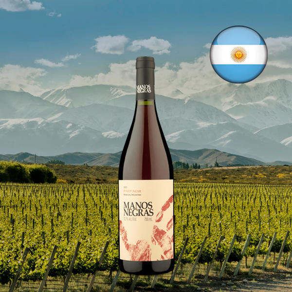 Manos Negras Pinot Noir 2021 - Oferta