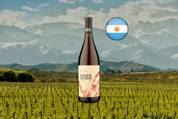 Manos Negras Pinot Noir 2021 - Thumbnail