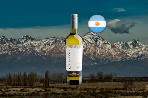 Nieto Senetiner Camila Chardonnay 2022 - Thumbnail