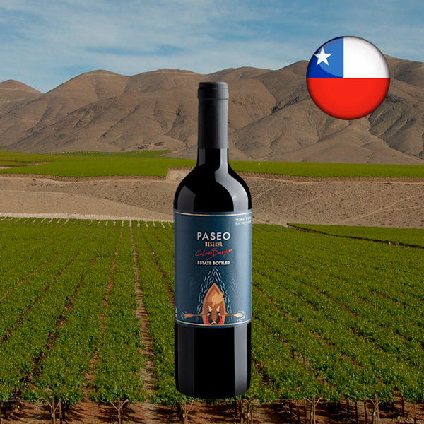 Paseo Reserva Cabernet Sauvignon Valle del Maule DO 2019 - Oferta