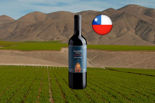 Paseo Reserva Cabernet Sauvignon Valle del Maule DO 2019 - Thumbnail