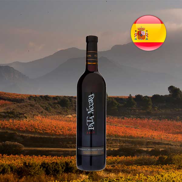 Pata Negra Tempranillo Cabernet Sauvignon - Oferta