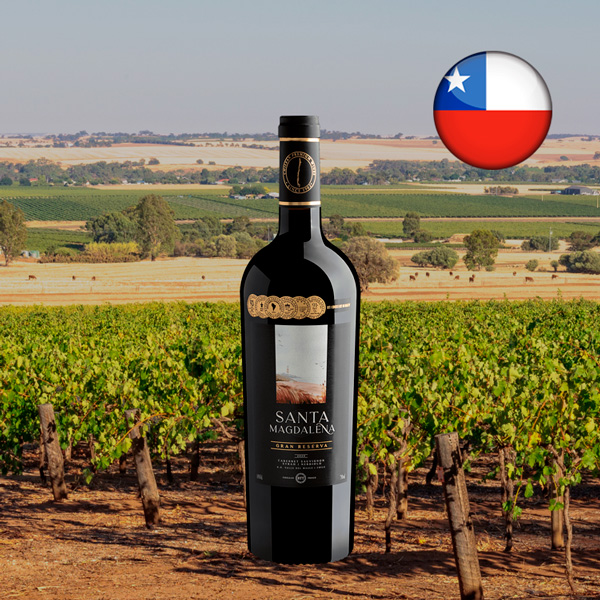 Santa Magdalena Gran Reserva Valle del Maule DO 2020 - Oferta