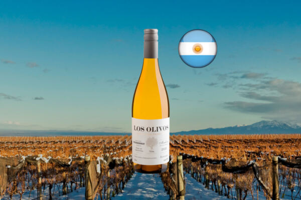 Zuccardi Los Olivos Chardonnay 2020 - Thumbnail