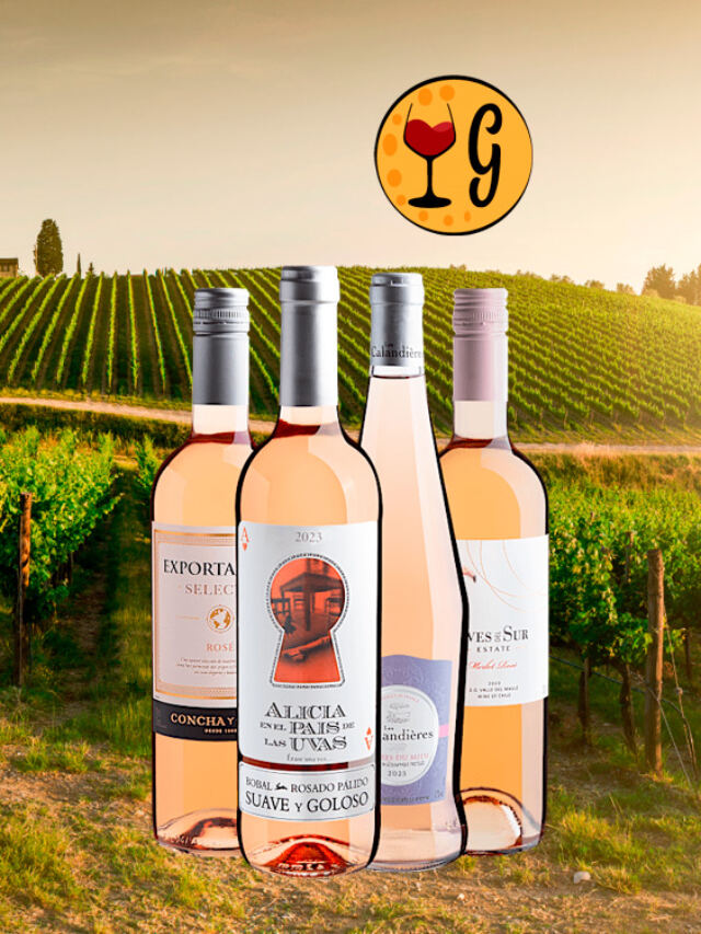 Kit 4 Rosés Excepcionais e Renomados