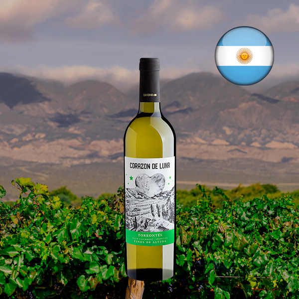 Corazon de Luna Torrontés Valle Calchaquí 2024 - Oferta