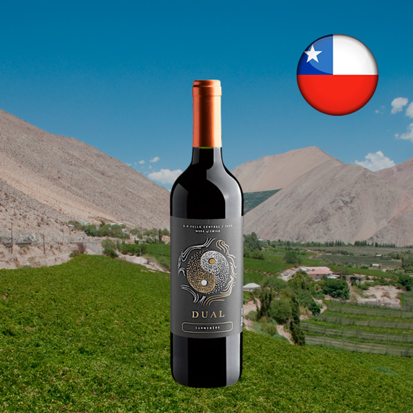 Dual Carménère Valle Central DO 2023 - Oferta