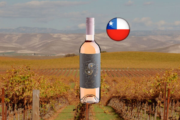 Dual Merlot Rosé Valle Central DO 2024 - Thumbnail