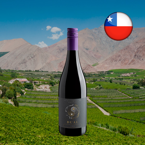 Dual Syrah Valle Central DO 2023 - Oferta