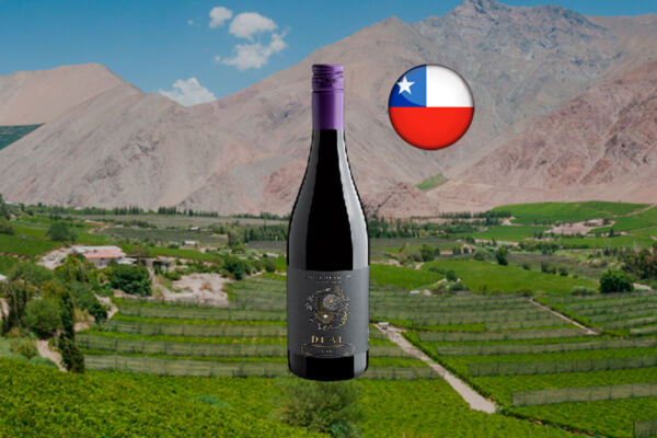 Dual Syrah Valle Central DO 2023 - Thumbnail