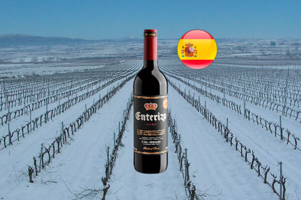 Enterizo Crianza Utiel-Requena DOP 2021 - Thumbnail