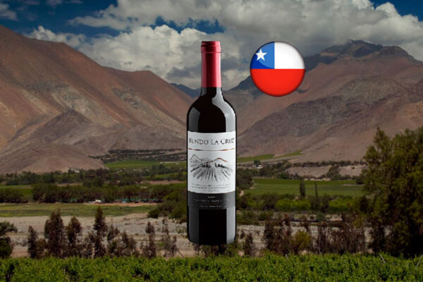 Fundo La Cruz Cabernet Sauvignon Central Valley DO 2022 - Thumbnail