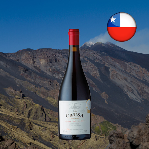 La Causa Blend Gran Reserva 2020 - Oferta