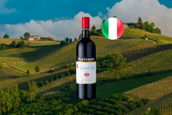 Pio Cesare Barbera d'Alba 2021 - Thumbnail