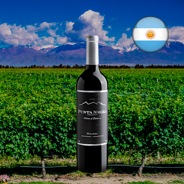 Punta Negra Wines of Belhara Malbec 2024 - Oferta