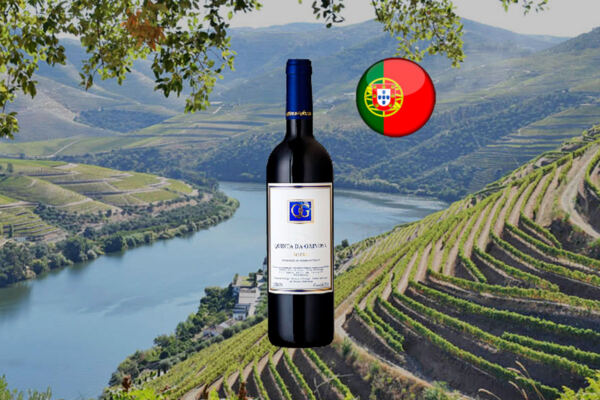 Quinta da Gaivosa Douro Tinto 2020 - Thumbnail