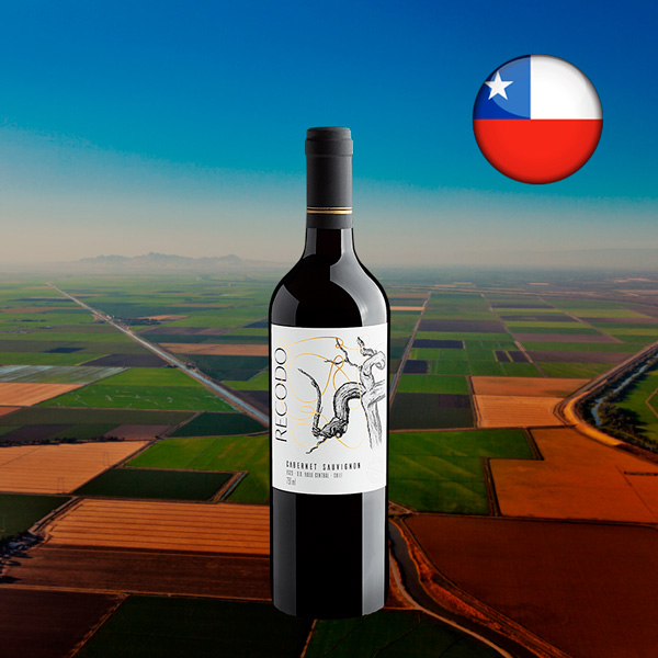 Recodo Cabernet Sauvignon Valle Central DO 2023 - Oferta