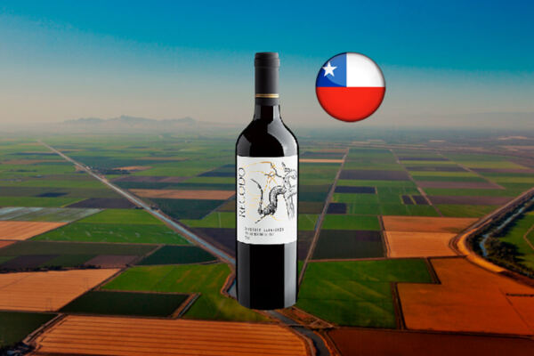 Recodo Cabernet Sauvignon Valle Central DO 2023 - Thumbnail