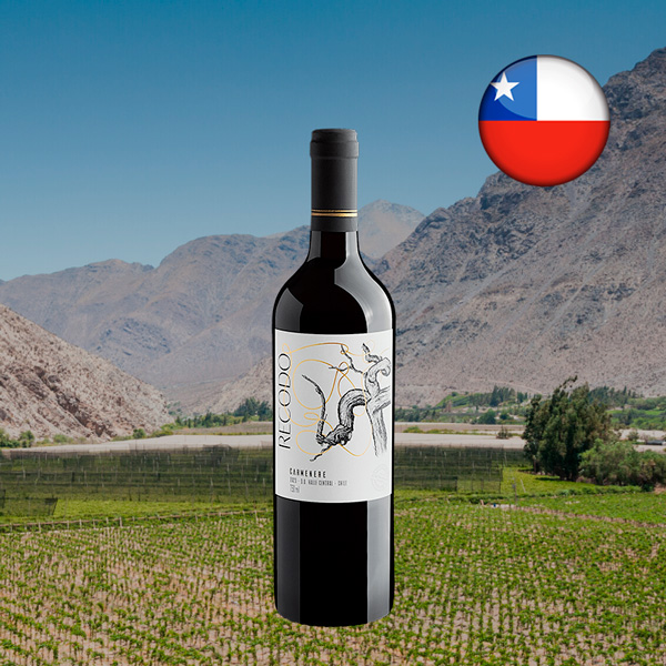 Recodo Carménère Valle Central DO 2023 - Oferta