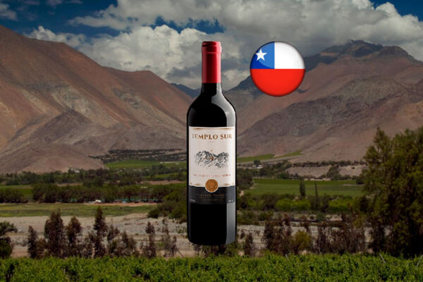 Templo Sur Limited Series Cabernet Sauvignon 2022 - Thumbnail