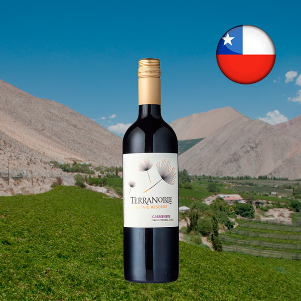 Terranoble Carmenere Estate Reserve 2022 - Oferta