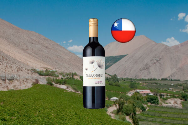 Terranoble Carmenère Estate Reserve 2022 - Thumbnail