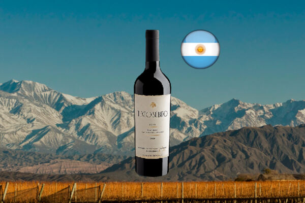 Texto Súbito Blend Malbec-Cabernet Franc 2020 - Thumbnail