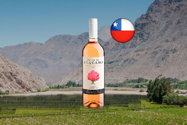 Valle de Atacama Single Vineyard Selection Rosé Syrah Central Valley DO 2023 - Thumbnail