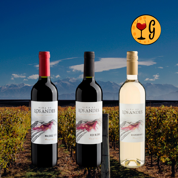 Viña de Los Andes - A Linha de Vinhos que Encanta Paladares - Oferta