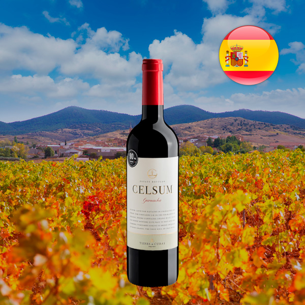 Celsum Garnacha Cariñena DOP - Oferta