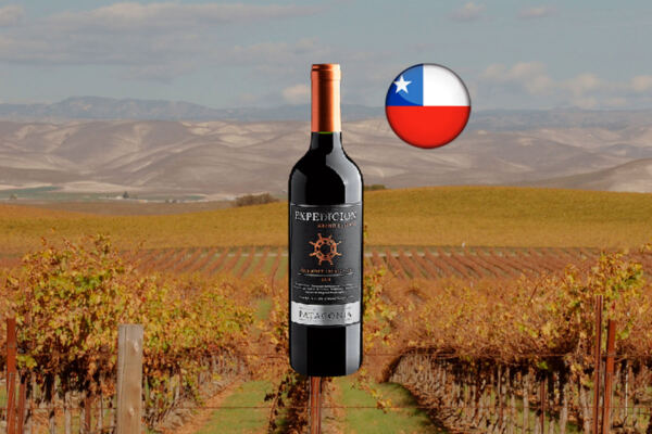 Finca Patagonia Expedicion Grand Reserve Cabernet Sauvignon Central Valley DO 2018 - Thumbnail