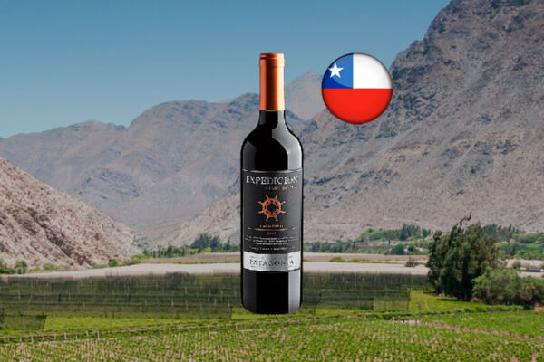 Finca Patagonia Expedicion Grand Reserve Carménère Central Valley DO 2020 - Thumbnail