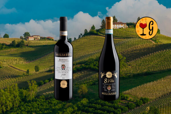 Linha Miliasso: Vinhos que Transportam Você ao Coração do Piemonte - Thumbnail