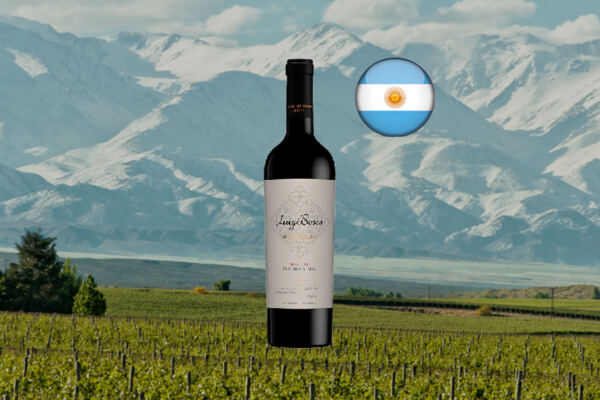 Luigi Bosca Malbec Edición Limitada De Sangre 2021 - Thumbnail